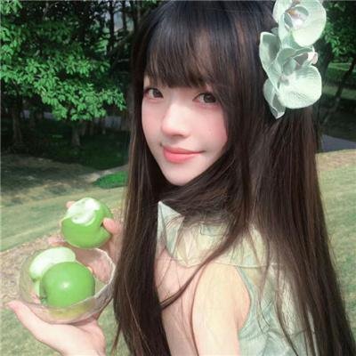 小熊历险记